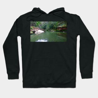 The Bush Waterhole! Hoodie